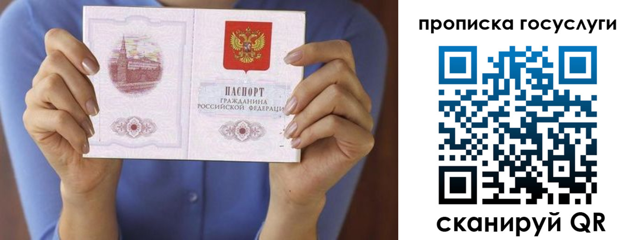 миграционный учет в Зеленоградске